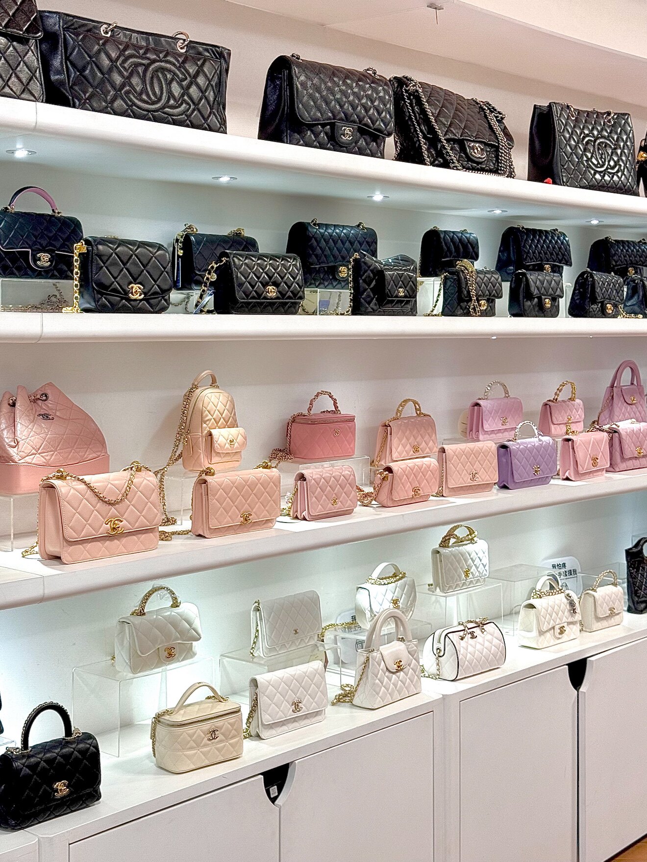 Showroom 6